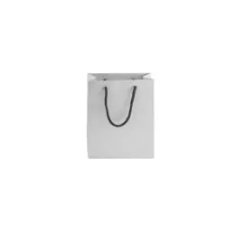 230gsm Matte Gift Bag - 14cm Silver Front